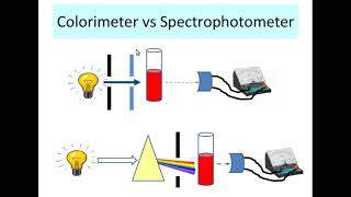 Colorimetric Testing Part 3 [upl. by Aziaf]