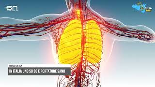 Fibrosi cistica un Italia una persona su 30 è portatrice sana [upl. by Solram]