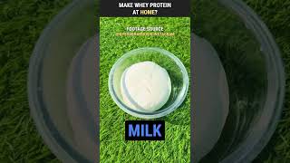 Make Whey Protein At Home  shorts 419 [upl. by Enalda]