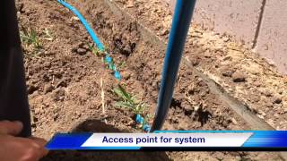 How to install a TermX reticulation system  Termite Barrier  Reticulation Line  TermX [upl. by Enitsirc]