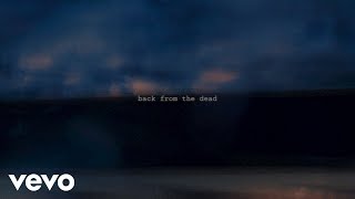 Lyn Lapid mxmtoon  back from the dead Official Lyric Video [upl. by Carpet]