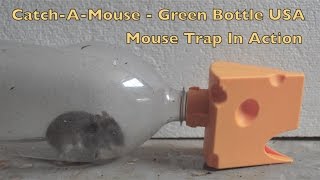 Catch A Mouse  Green Bottle USA Mouse Trap In Action Full Review  mousetrapmonday [upl. by Vaden]