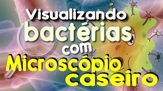 Bactérias vistas em microscópio caseiro [upl. by Fransisco]