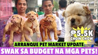 UPDATE SA ARRANQUE PET MARKET  MARCH 07 2024 [upl. by Gregoire]