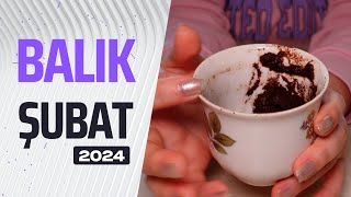 BALIK BURCU ŞUBAT 2024  Aylık Burç Yorumları amp Kahve Falı [upl. by Thayer313]