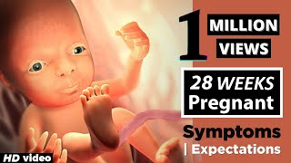 28 Weeks Pregnant Baby Position  Health Care Tips For Pregnant Women [upl. by Archy909]