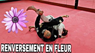 JJB RENVERSEMENT EN FLEUR quotFLOWER SWEEPquot TECHNIQUE JIUJITSU BRÉSILIEN JIUJITSU [upl. by Nohsid]