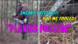 Playing Possum Or Truly Dead The Mystery Unraveled [upl. by Maggie]