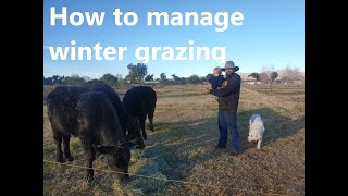 How to manage winter pasture with annual ryegrass [upl. by Pompea2]