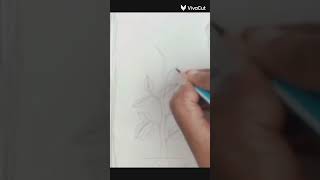 how to draw a plant easy ll plant drawing ll parts of plant [upl. by Anolla742]