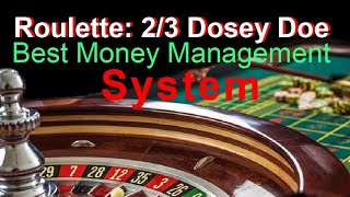 PROFESSIONAL ROULETTE STRATEGY 23 DOZENS THE DOSEY DOE [upl. by Norvun]