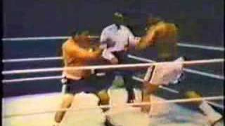 Muhammad Ali Vs Rocky Marciano [upl. by Vannie]