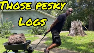 Pesky Logs Episode 116 [upl. by Nerol87]