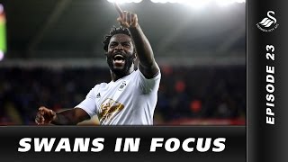 Swans TV  Swans IN FOCUS Episode 23 [upl. by Suanne]