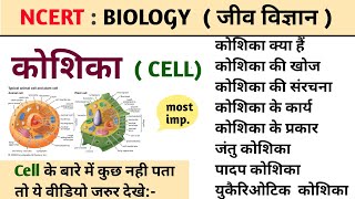 कोशिका  Cell l cell structure l कोशिका की संरचना और कार्य l Biology l A2l Classes [upl. by Piero]