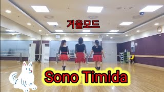 Sono Timida소노 티미다BeginnerImprover라인댄스안산롯데마트 [upl. by Pals]