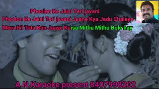 Mera Dil Tota Ban Jaaye Kaisa Mitthu Mitthu Bole hay karaoke female voice original [upl. by Zoes456]