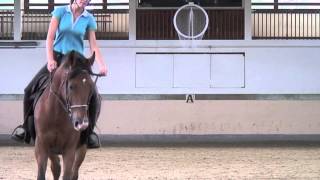 Galop 4 Diriger sur des courbes aux trois allures avec un pli interne [upl. by Beaver]