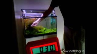 PAR meter in a 60 litres high tech planted aquarium [upl. by Irodim744]