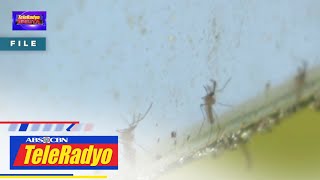 Dengue cases patuloy na tumataas kahit mainit ang panahon  TeleRadyo Balita [upl. by Breena978]