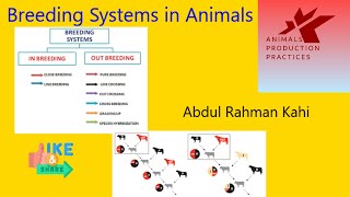 Breeding Systems in animals  Inbreeding  Outbreeding  animal husbandry [upl. by Olivette114]