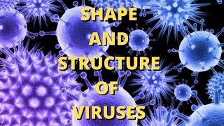 Viral Structure and Functions [upl. by Lahcim]