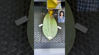 leaves production process laser engraving leaf engraving machine entrepreneurship [upl. by Gabler]