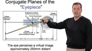 Microscopy Eyepieces Stephen Ross [upl. by Mckenzie]