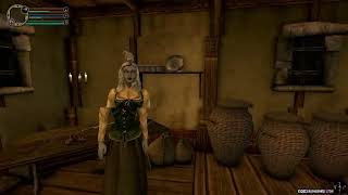 Morrowind  Mod Test 111 [upl. by Atnomed]