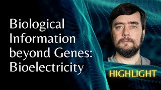 Biological Information beyond Genes Bioelectricity  Michael Levin [upl. by Venterea]