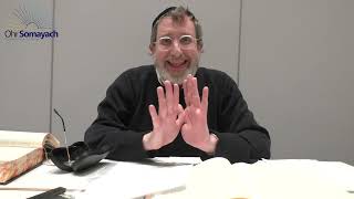 Femme Fatale Rabbi Aaron Fine Halacha  Jewish Law [upl. by Bennir]