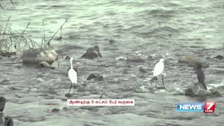 Mukkombu a safer picnic spot in Tiruchi  Payanamcom  News7 Tamil [upl. by Yhtrod]