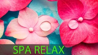 6 Hour Super Relaxing Spa Music Meditation Music Massage Music Relaxation Music Soothing ☯594 [upl. by Allenotna]