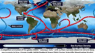 Gulf Stream current could collapse in 2025 plunging Earth into climate chaos [upl. by Aracal]