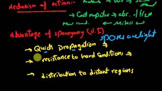 Biology  Reproduction  L4  Sporogony [upl. by Arundel978]