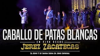 Caballo De Patas Blancas En Vivo  El Nono Y Su Banda Reina De Jerez [upl. by Athenian496]