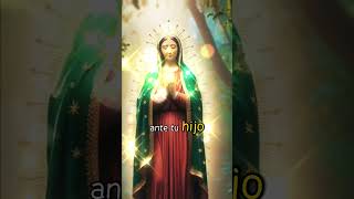 virgendeguadalupe amor fe oración a la virgen de Guadalupe [upl. by Chelsea]