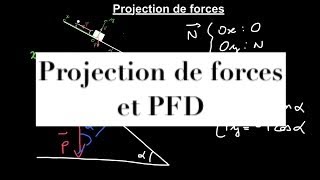 Méthodes scientifiques  projection de forces et principe fondamental de la dynamique [upl. by Einahpet897]