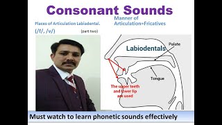 consonant Sounds labiodental f v [upl. by Gilford193]