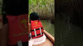 mangrove forest Pichavaram chidambaram tamilnadu [upl. by Kroy]