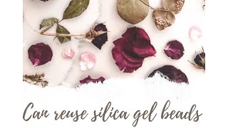 Can you reuse SILICA gel beads after drying Flowers [upl. by Mariele120]