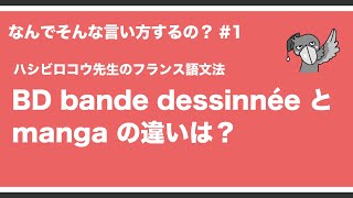 《フランス語文法》ハシビロコウ先生動画 なんでそんな言い方をするの？ 1 なんで漫画を BD bande dessinée と言うの？ BD と manga の違いは？ [upl. by Nlycaj]