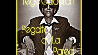 Pegaito a La Pared  Tego Calderon HOT NEW SONG [upl. by Imiaj]