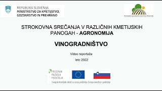 Strokovno srečanje v vinogradništvu 2022  Kmetijski zavod Nova Gorica [upl. by Ogu]