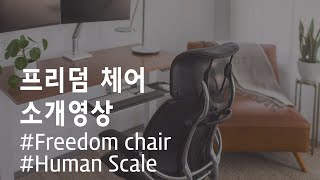 휴먼스케일 프리덤 체어 humanscale freedom chair팀쿡 체어팀쿡 의자오바마 체어오바마 의자옐로우라이트yellowlight [upl. by Gmur]