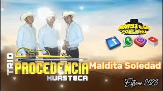 MALDITA SOLEDAD  TRIO PROCEDENCIA HUASTECA [upl. by Maram]