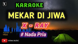 X  RAY  MEKAR DI JIWA  KARAOKE  NADA RENDAH [upl. by Yllehs]