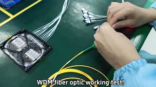 WDM fiber optic working test [upl. by Berthe146]