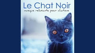 Musique douce pour endormir ton chat [upl. by Rahab951]