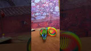 Bird Training  Smart lovebird Parrot  Smart Little Cute Parrot ❤️ training smartparrot cute [upl. by Ycats275]